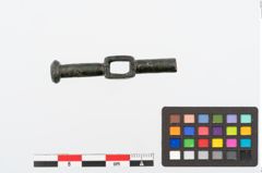 Foto von Bronzezwergknebel (NHMW-PRAE-025037)
